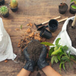 1. Gardening have positive environmental impacts