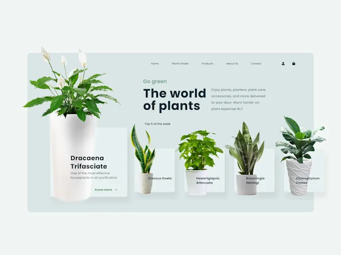 design-ui-ux-or-prototype-wireframe-for-mobile-and-web